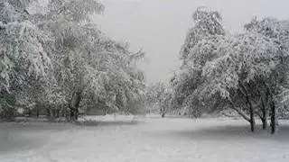 Auld Lang Syne - "Happy New Year" :)