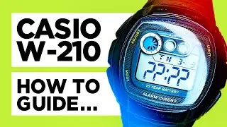 #CASIO