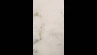 Sweeping with Coconut Palm Broom