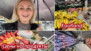 Влог ✔️ В магазине Kaufland закупаю продукты ✔️ Что купила в Русском магазине ✔️цены на топливо