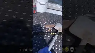 Crazy looking crab fish 🤯🤯🤯