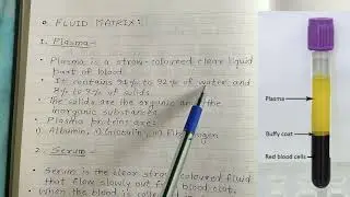 Human Blood | Composition | Properties | Functions  | Hematology