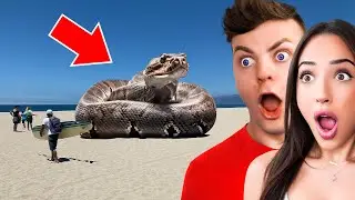 World’s Craziest DISCOVERIES Caught On Camera!