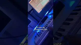 Modulation | #shorts #ableton #ledstrip #visualizer #musicproducer #flstudio