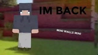 I’M BACK (mini walls mini)