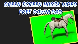 Horse green screen video free Copyright download...