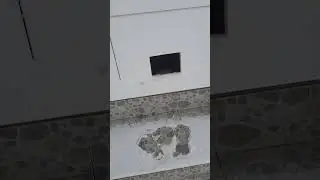 Боня вернулся