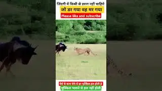 मुश्किल भागने से हल नहीं होती