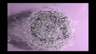 DEMOREEL__2009