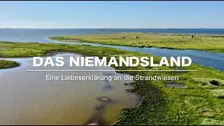 DAS NIEMANDSLAND OLVP e.V. - Langfassung