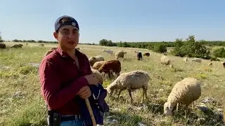 ISSIZ DAĞLARDA AİLESİNE AYLIK 60.000 TL KAZANDIRIYOR | ÇOBAN RAMAZAN | BELGESEL 