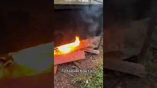 Коктал. #cheflife #fishing #carpfishing #chef #еда #рецепты #повара #carp #вкусно
