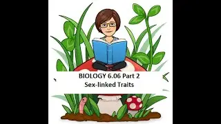 BIO 6.06 Sex Linked Traits Part 2