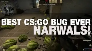 BEST CS:GO BUG EVER - NARWALS!
