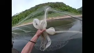 Carp on trout net?