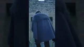 ⛔️🦍