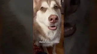 The truth about moms