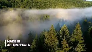 Текст из кармана