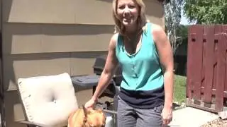 Clogging in the Kitchen with a Corgi: Edition 5