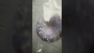 гримас пончик