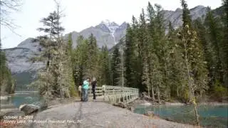 Proposal