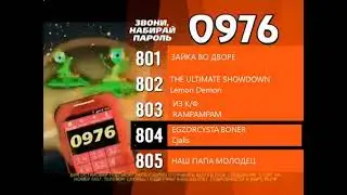 Реклама на BRIDGE TV 2013 (26/40)