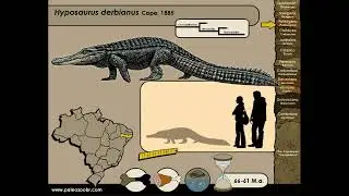 Top 5 Unpopular Prehistoric Cenozoic Crocodiles