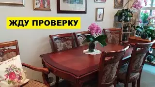 ПРИГОТОВИЛАСЬ К ПРОВЕРКЕ..ЖДУ