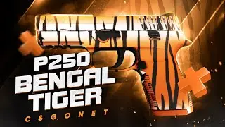 Обзор P250 | Bengal Tiger (Бенгальский тигр) | CS:GO