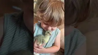 Farm life life #love #animalrescue #farmlife #babyanimals #cute #animallover #childhood #momlife