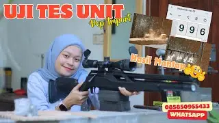 SENAPAN ANGIN PCP GREYHOUND T-REX KLASIK [TES UNIT SENAPAN ANGIN IMPORT]