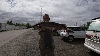 Рыбалка на Беловском водохранилище