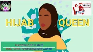Hijab || Women in Islam  || Muslim Queen || Modesty #poetry || Sabeen Zahoor