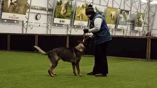 Unerschrocken Geko, (урок 3, коррекция позиции в движении рядом и ФП)
