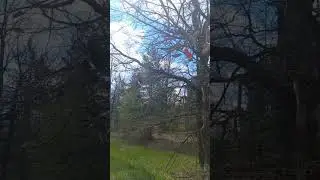 Кто знает ЗАЧЕМ???🤔