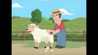sheep shearing gone wrong 😛😛 