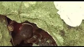 6 Şubat Depremi
