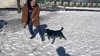 ДОРИ - невозможное возможно!