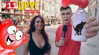 Желейный медведь или какающая собака, кто популярнее? | Шоу Друг Народа #11