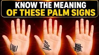 Signs on Venus Mount | Venus Mount Signs Explained 