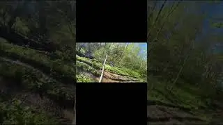 Вы ждали, вот получите. Новые трактора в кадре...