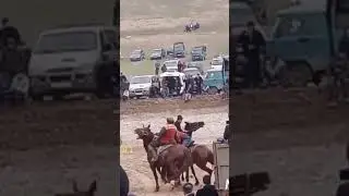 Бузам худаша шер ба баробар мекунад