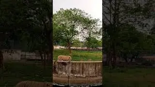 13 April 2022