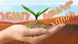 ነፍስህን በመልካም አበስራት