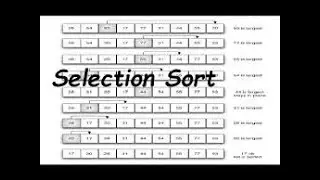 Selection Sort | Program in C to Sort the element using Selection Sort.