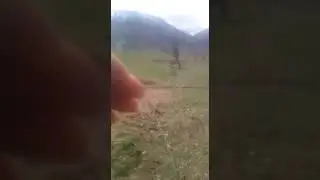 27 мая 2021 г.