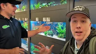 Exploring Tons of Fascinating Fish Species at Aquarium Store in Germany [Zoobox Tour]