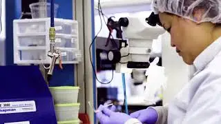 Inside Integer: Our Process