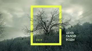 Цена талой воды