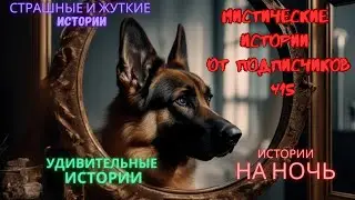 Мистические истории (озвучка) #мистика  #историиизжизни #страшныеистории #историинаночь #415
